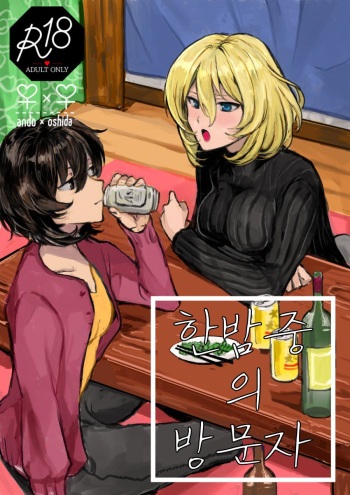 (CCFukuoka51) [Maguma Sansou (Moekichi.)] Mayonaka no Houmonsha | 한밤중의 방문자 (Girls und Panzer) [Korean] cover