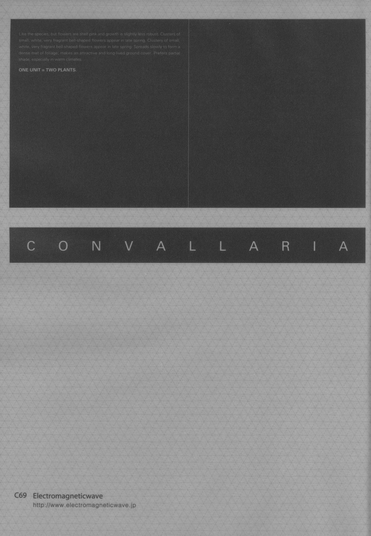 CONVALLARIA page 2 full