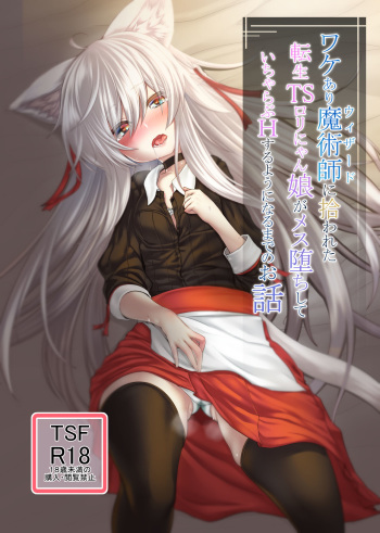 [Tempest (Imaki Ten, sorono)] Wakeari Majutsushi ni Hirowareta Tensei TS Loli Nyanko ga Mesu Ochi shite IchaLove H suru You ni Naru made no Ohanashi [Digital] cover