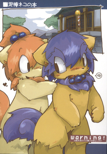 (C73) [Dorobou Neko (Itadakicat)] Dorobou Neko no Hon cover