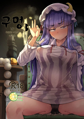 [Jikahatsudensho (flanvia)] Ana to Muttsuri Dosukebe Daitoshokan 3 | 구멍과 무뚝뚝한 개변태 대도서관 3 (Touhou Project) [Korean] [Digital] cover