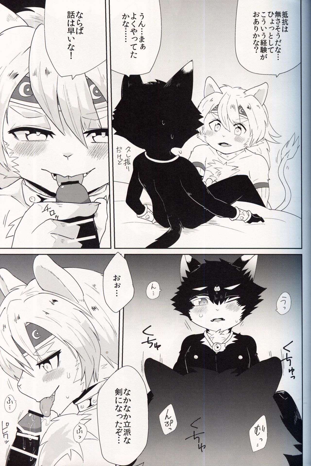 がく 猫の王 獅子の剣篇 page 12 full