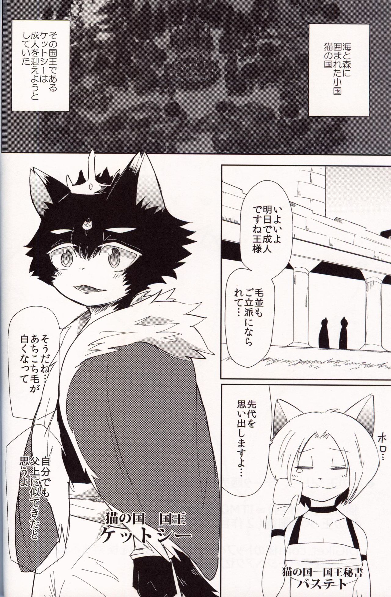 がく 猫の王 獅子の剣篇 page 3 full