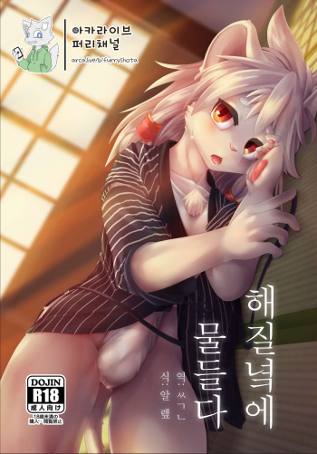 [Kubiwanko (Giro)] Yuugure ni Shiramu | 해질녘에 물들다 [Korean] [아카라이브 퍼리채널] [Digital] cover
