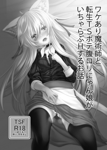 [Tempest (Imaki Ten, sorono)] Wakeari Majutsushi to Tensei TS Botehara Loli Nyanko ga IchaLove H suru Ohanashi [Digital] cover