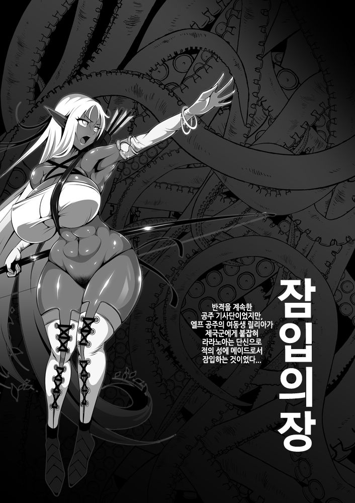 Inmon Akuochi No Hime Kishidan｜음문으로 떨어진 공주기사단 01 page 11 full