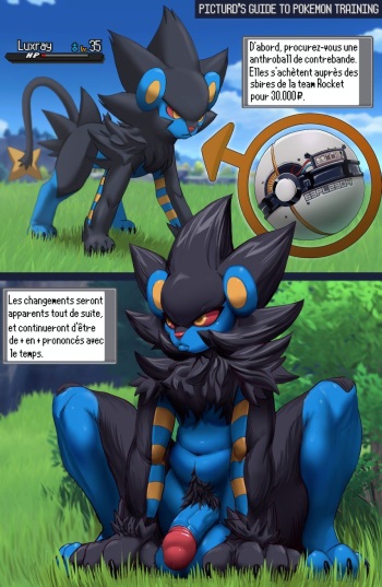 [Picturd] Luxray's Anthroball Training [French] cover