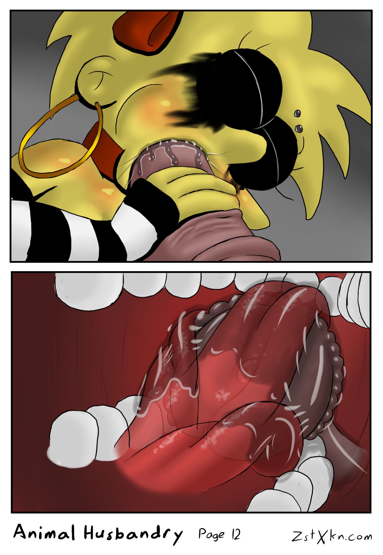 Animal Husbandry page 12 full
