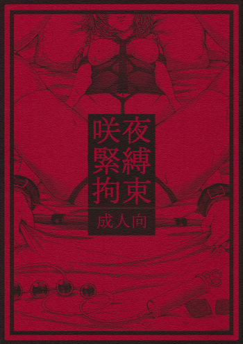 (Reitaisai 11) [Daiji na Koto wa Nikai mo Iwanai (Hasebe soutsu)] Sakuya Kinbaku Kousoku (Touhou Project) [English] [hardcase8translates] cover