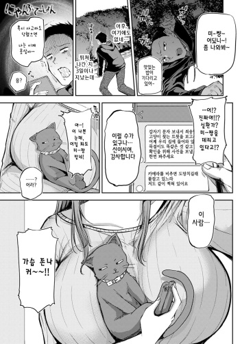 [Miyoshi] Nyanptation (COMIC Anthurium 2021-03) [korean] [Digital] cover