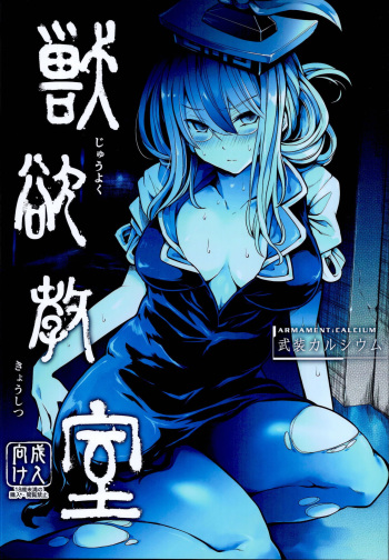 (C95) [Armament Calcium (Take Calcium)] Juuyoku Kyoushitsu (Touhou Project) [Korean] cover