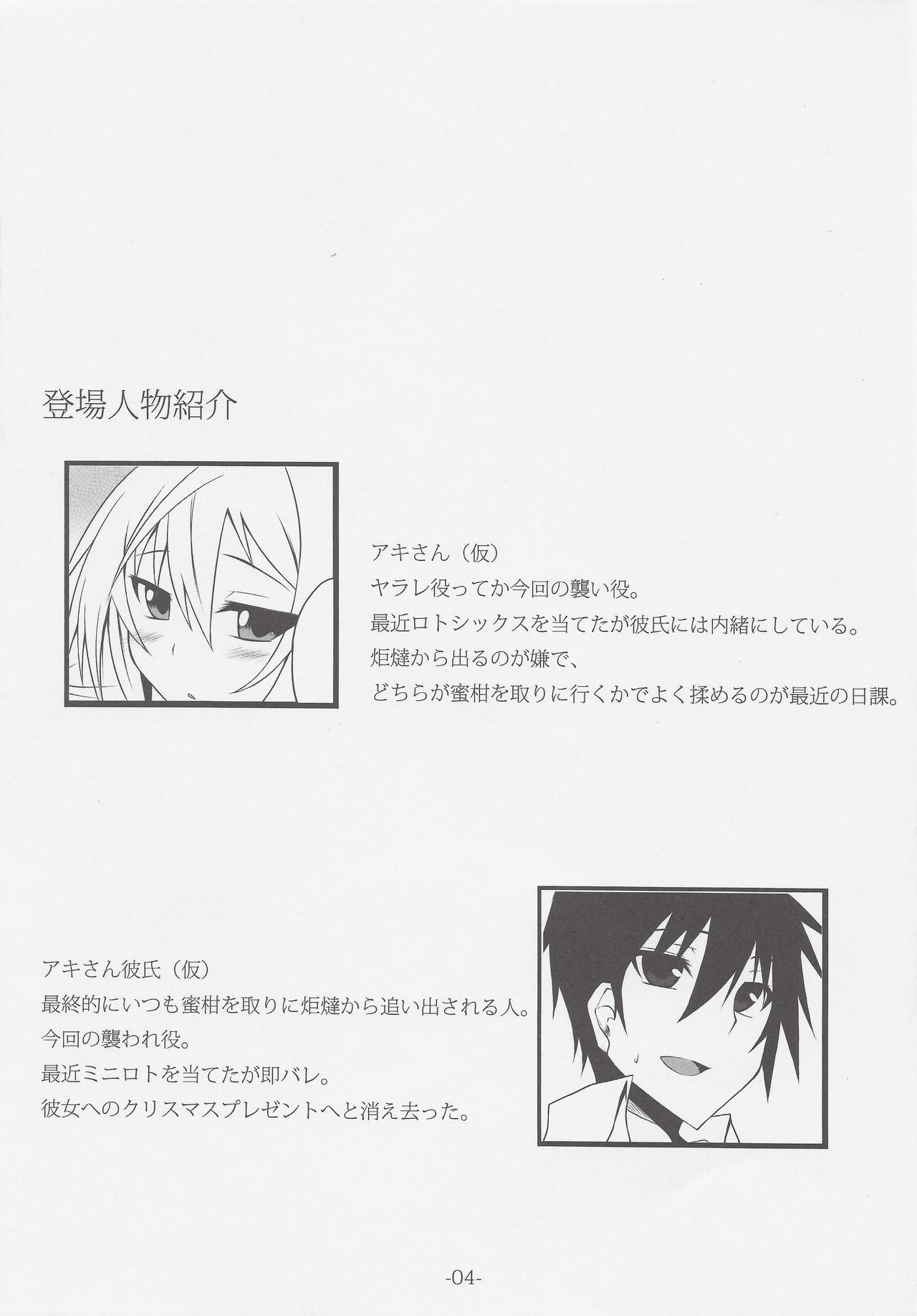 PROVISIONAL NAME II page 3 full