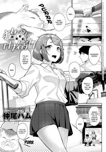 [Nakao Ham] Neko nochi Amayadori (COMIC Anthurium 2021-04) [English] {JATLFF} [Digital] cover