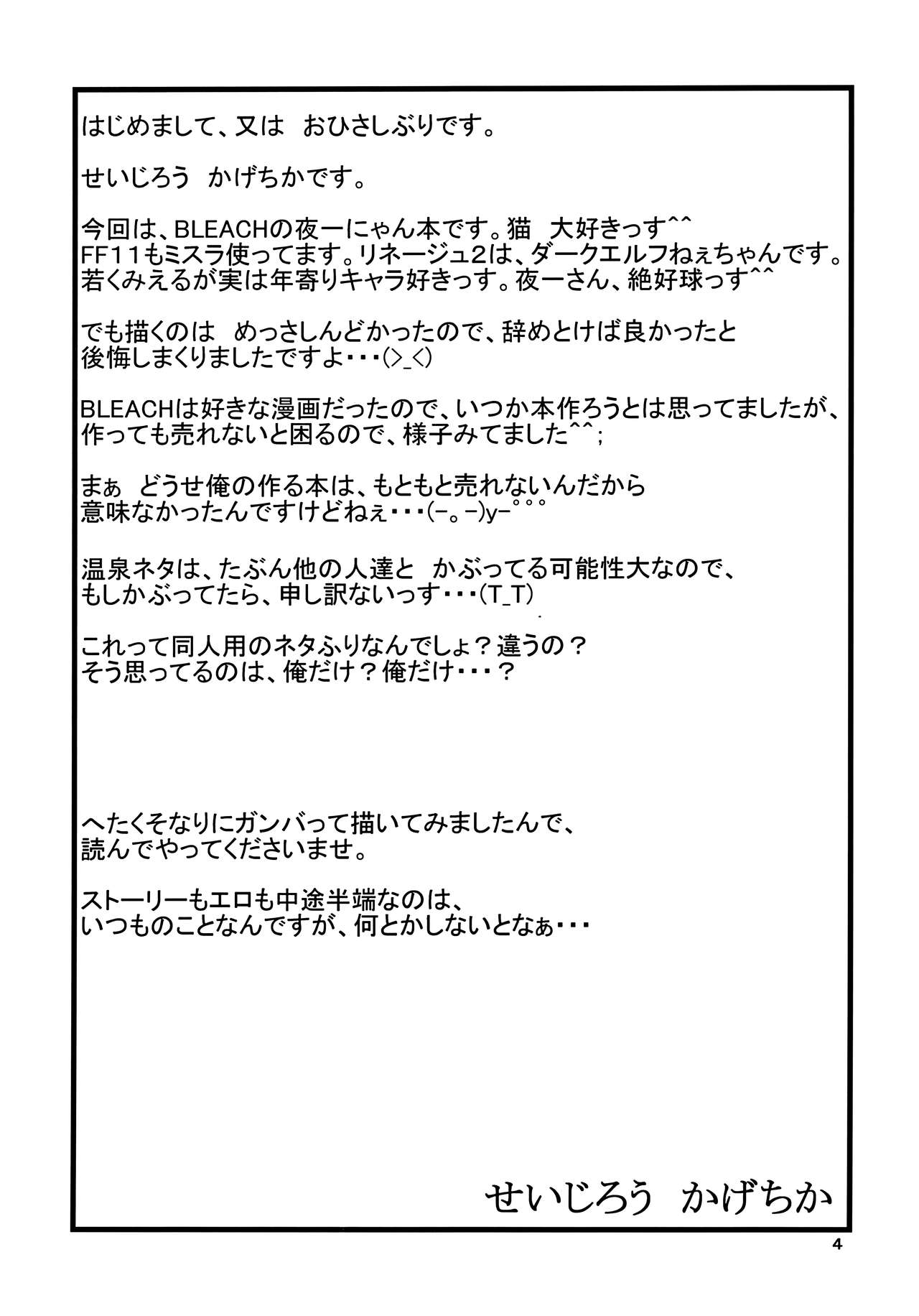 Yoruichi Nyan no Hon | Yoruichi Nyan Book page 3 full