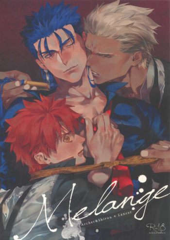 (Dai 23-ji ROOT4to5) [RED (koi)] Melange (Fate/stay night)[Korean] cover