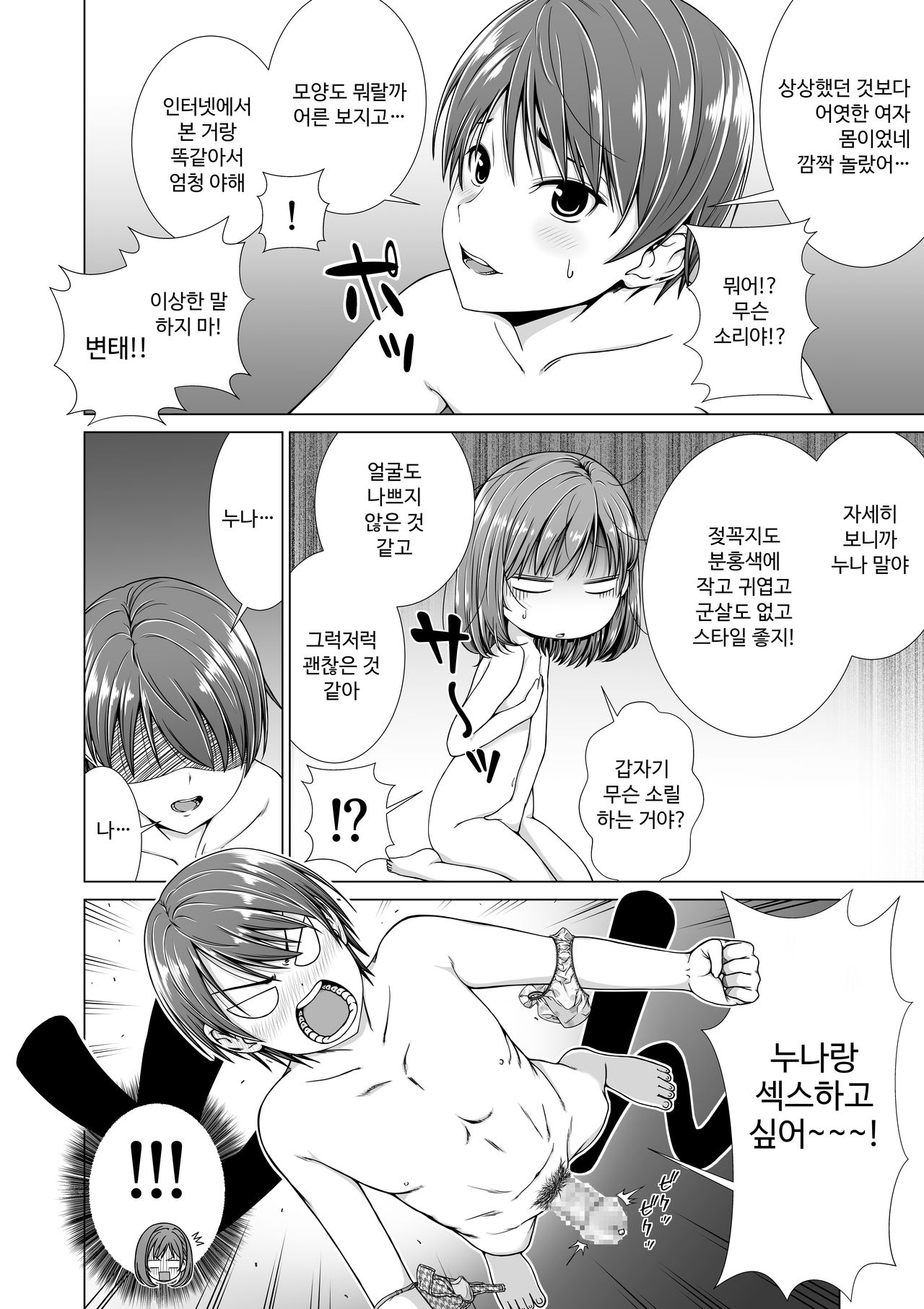 Houkei o Baka ni Shita Ane o Yatte Shimau Hanashi│포경을 바보 취급한 누나를 덮치는 이야기 page 11 full