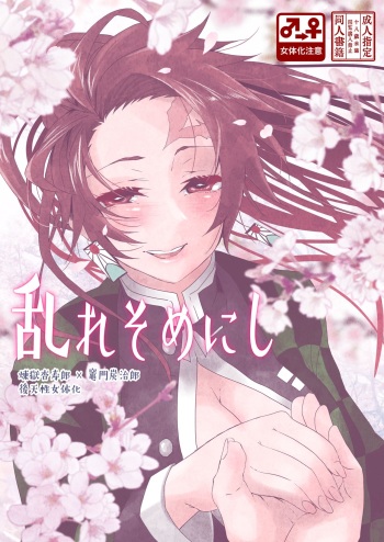 (Nichirin Kitan 6) [Yakionigiri (Taiga Tora)] Midare Somenishi (Kimetsu no Yaiba) [Sample] cover