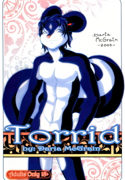 Torrid 2005 Art Book