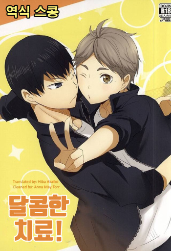 [Kakusei Desire] sweet cure (Haikyuu!!) [Korean] cover