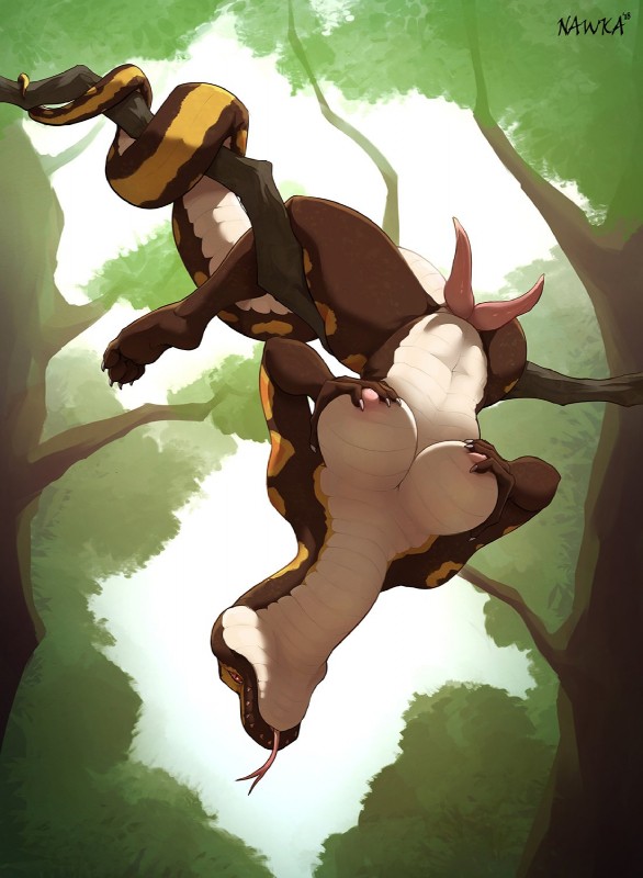 ARTIST nawka page 8 full