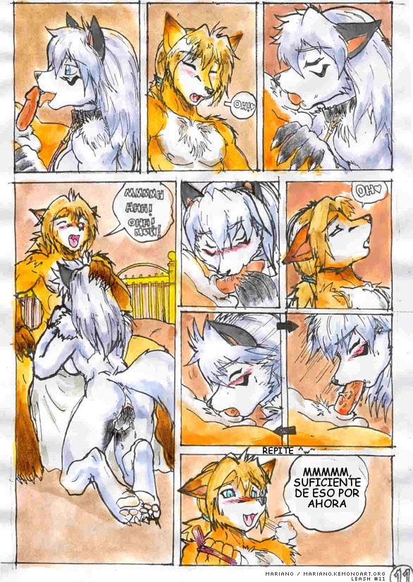Correa de Entrenamiento page 11 full