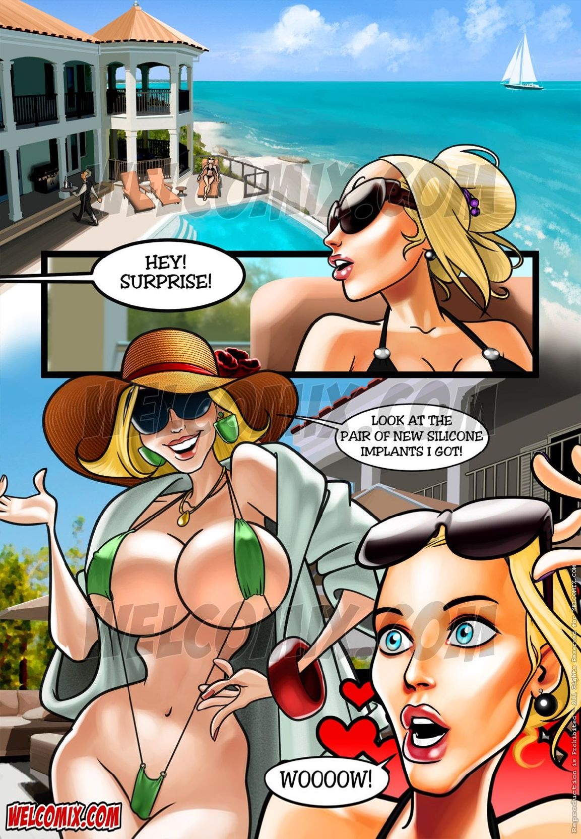 Pleasure Mansion  - 3 - The new half-quart silicone implants - english page 2 full