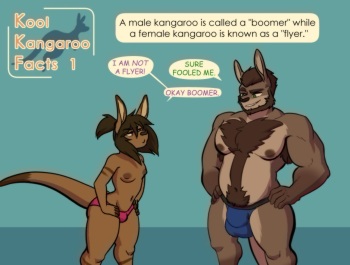 [Tyroo] Kool Kangaroo Facts cover