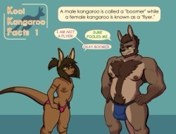 Kool Kangaroo Facts