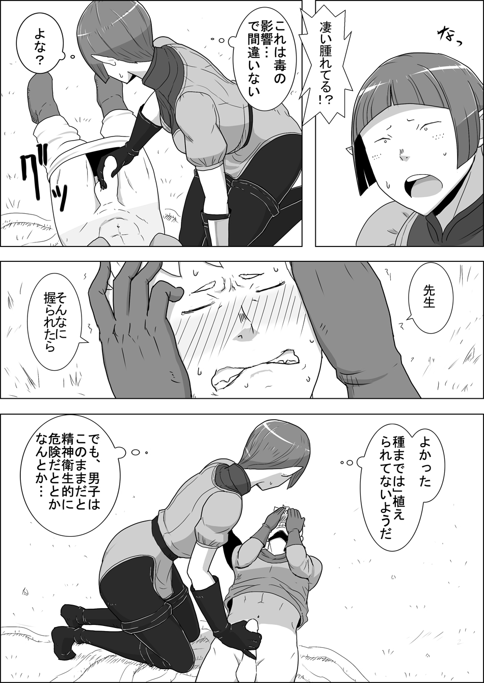 Mada Daimei no Nai Fantasy - Jimi na Elf to Minarai no Senshi I-XIII page 10 full