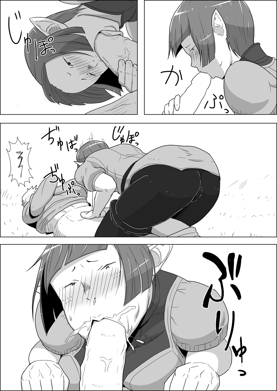 Mada Daimei no Nai Fantasy - Jimi na Elf to Minarai no Senshi I-XIII page 12 full
