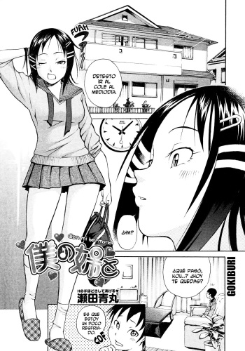 [Seta Aomaru] Boku no Ane to (COMIC Megastore 2008-03) [Spanish] cover
