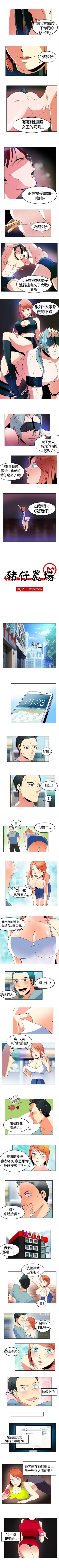 豬仔農場 1-16 cover