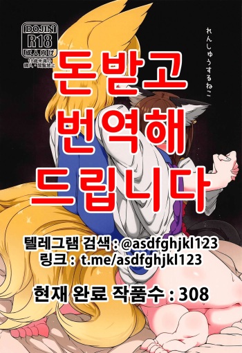 (C95) [RTD (Mizuga)] Renshuu Suru Neko (Touhou Project) [Korean] cover