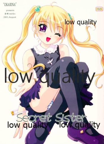 (C60) [Ocarina (Dyontairan)] Secret Sister cover