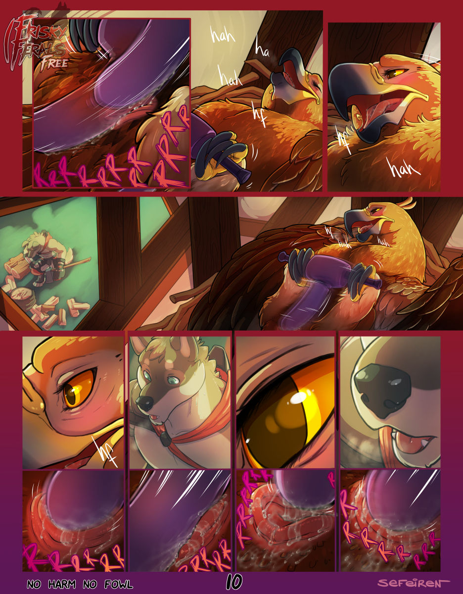 No Harm No Fowl page 11 full