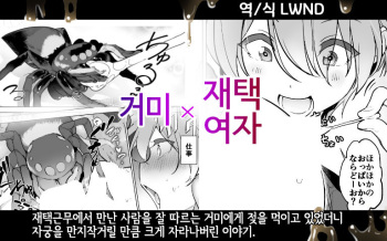 [Haechaimu (smomo)] kumo x zaitaku josh [Korean] [LWND] cover