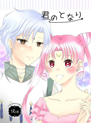 [co*co)] Kiminotonari(Sailor Moon) cover
