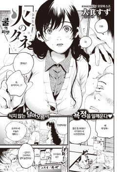 Hi no Tane | 불의 씨앗