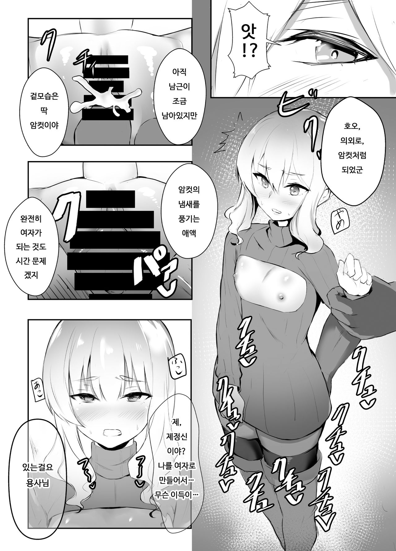 Mesu Ochi shita Yuusha-sama | 암컷타락한 용사님 page 11 full