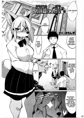 (C91) [Mayoineko (Emons)] Hatsujou Bitch ni Goyoujin (Kemokko Lovers 7)[Spanish] cover