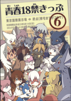 Seishun 18 Kin Kippu 6