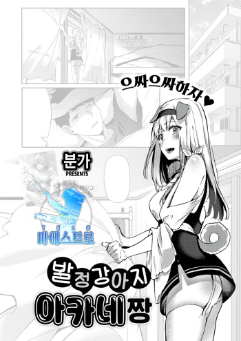 [Bunga] Hatsujou Koinu Akane-chan | 발정 강아지 아카네쨩 (COMIC ExE 29) [Korean] [팀 마에스트로] [Digital] cover