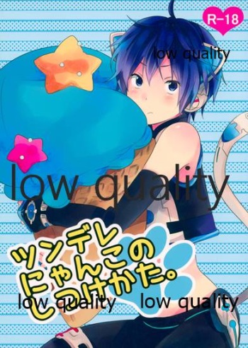(THE VOC@LOiD M@STER 18) [hey you! (のん)] ツンデレにゃんこのしつけかた。 (VOCALOID) cover