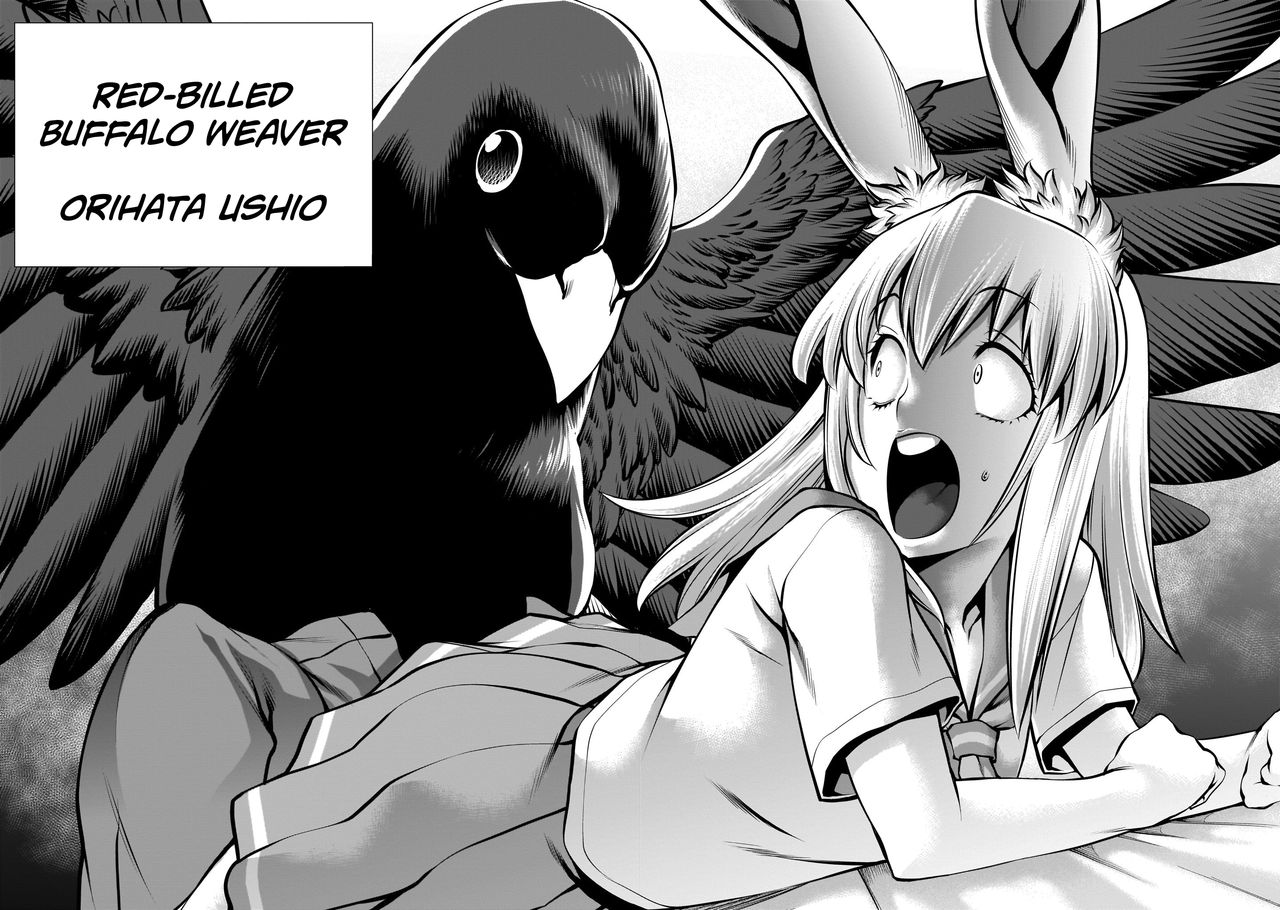 Isn't It Too Much? Inaba-san/Hoshi Gari Sugidesho? Inaba-san chapter 8 page 12 full