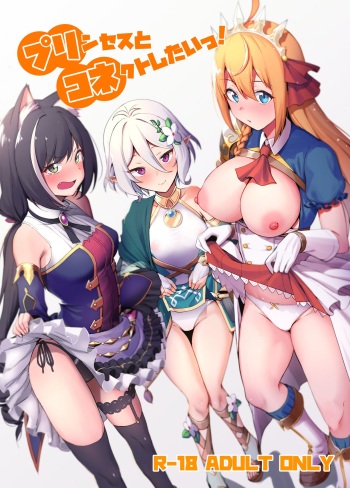 (C96) [Ikihaji Hummingbird (Amano Don)] Princess to Connect Shitai! (Princess Connect! Re:Dive) [Spanish] [AZXTranslations] cover