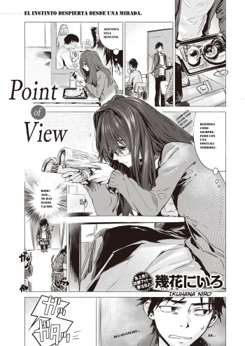 Punto de vista cover