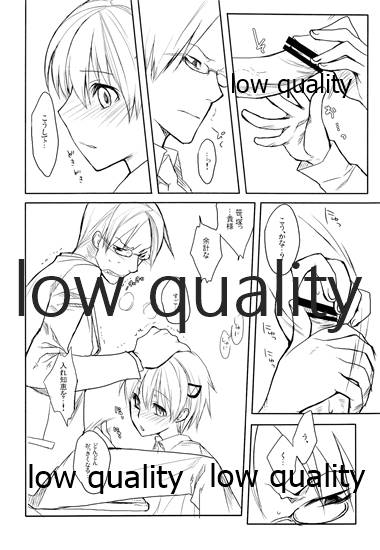 ハヤブサ・ハイタイド page 9 full