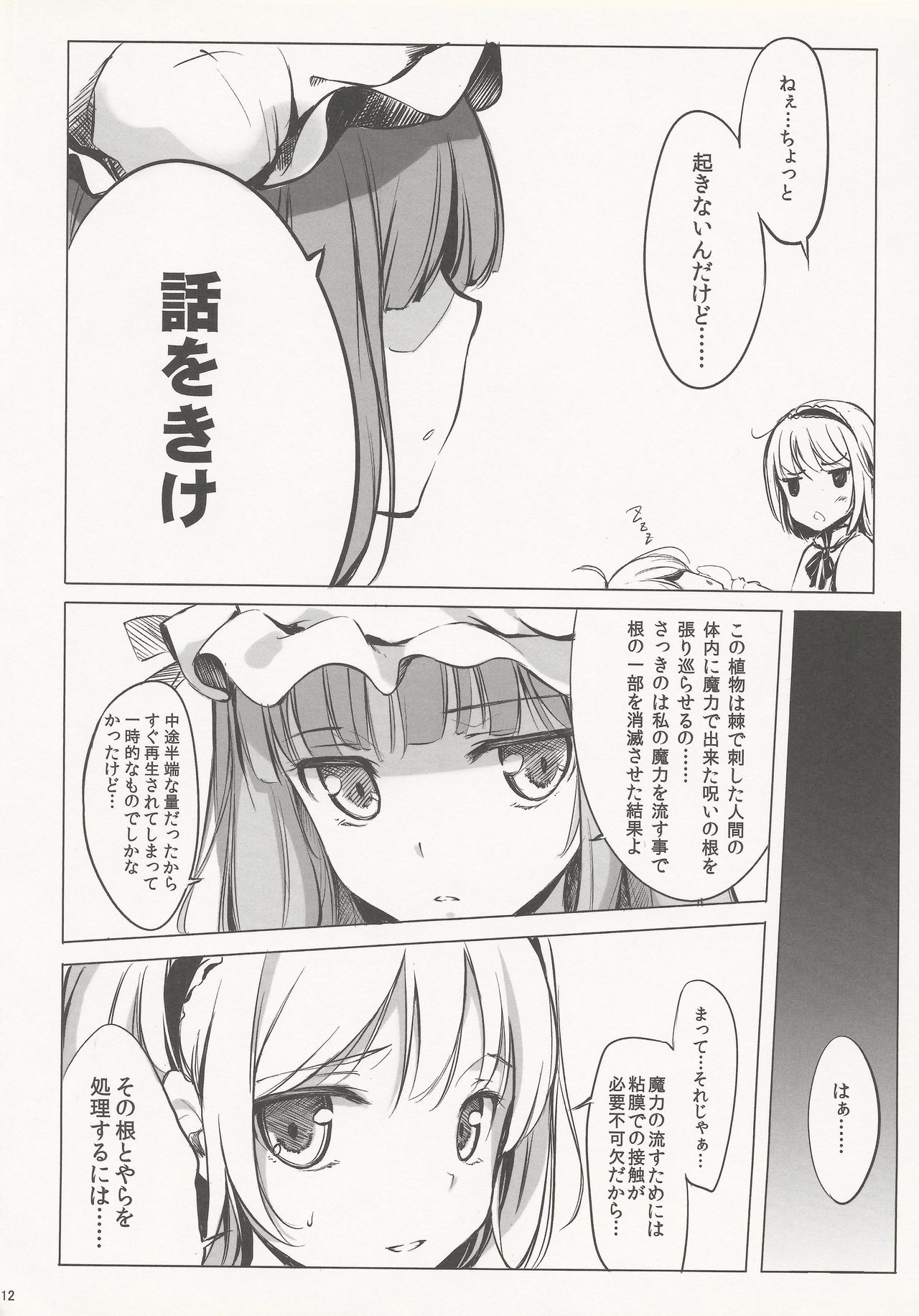 SLEEPING MAGE -Mahou no Mori no Nemurihime- Gekidoku Shoujo Publication Number VII page 11 full