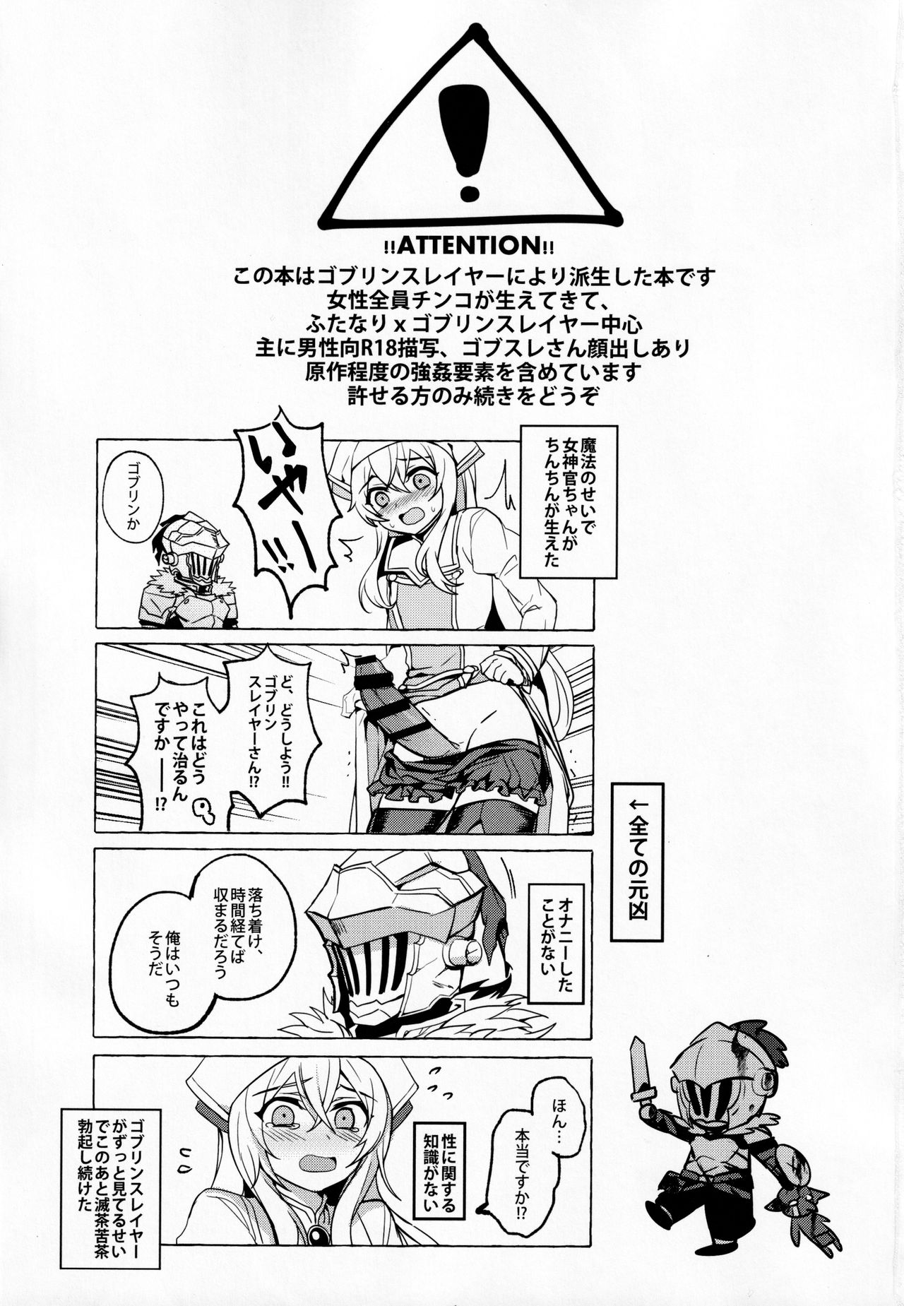 Goblin Slayer-san no Ero Hon. page 2 full