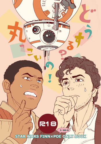 [Tsurugi] [R-18] What do we do? BB-8! cover